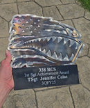 Wall-Mounted Trophies & Awards