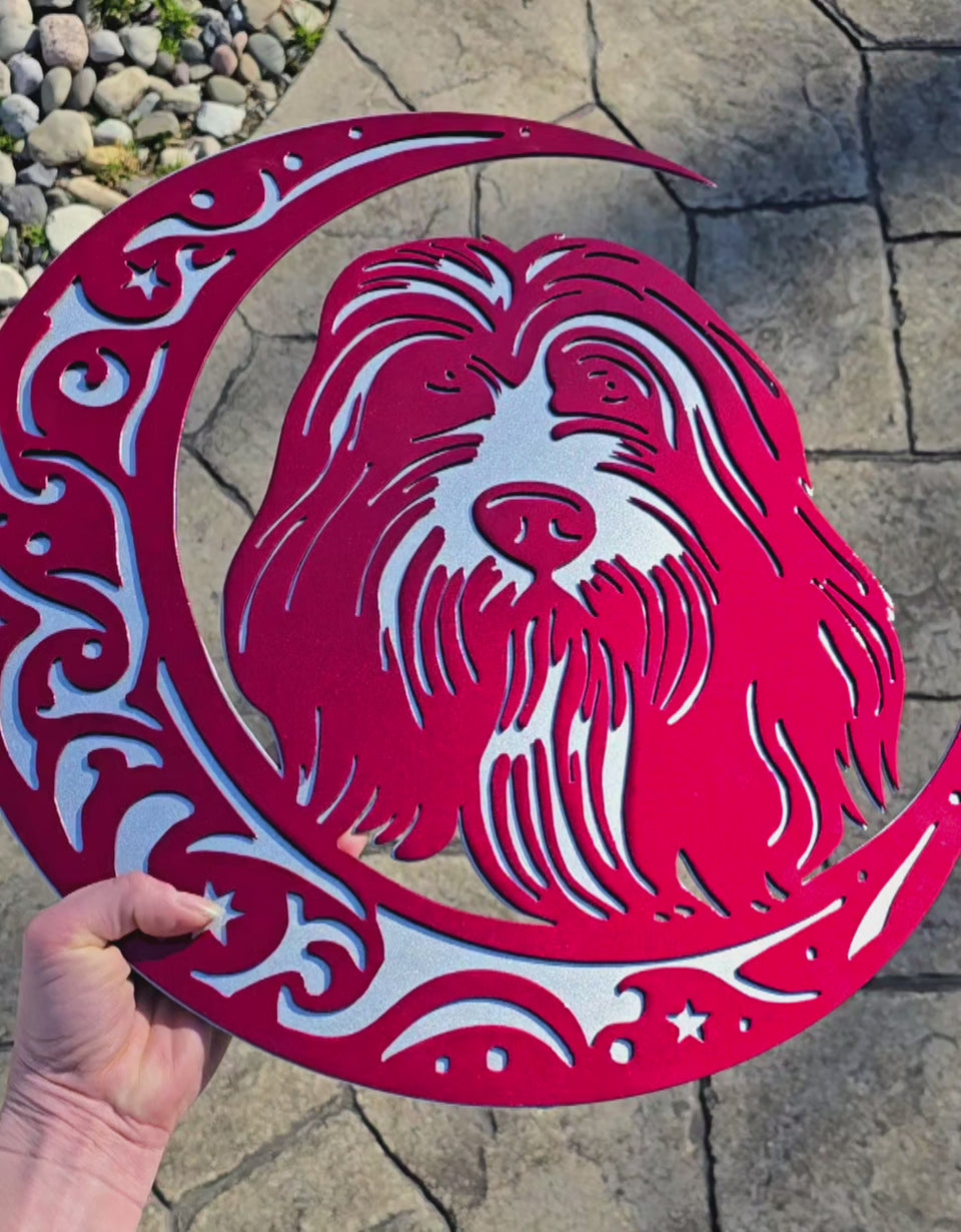 Video showing red dog-on-the-moon artwork by Elite Metalworking