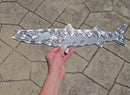 Barracuda Metal Art