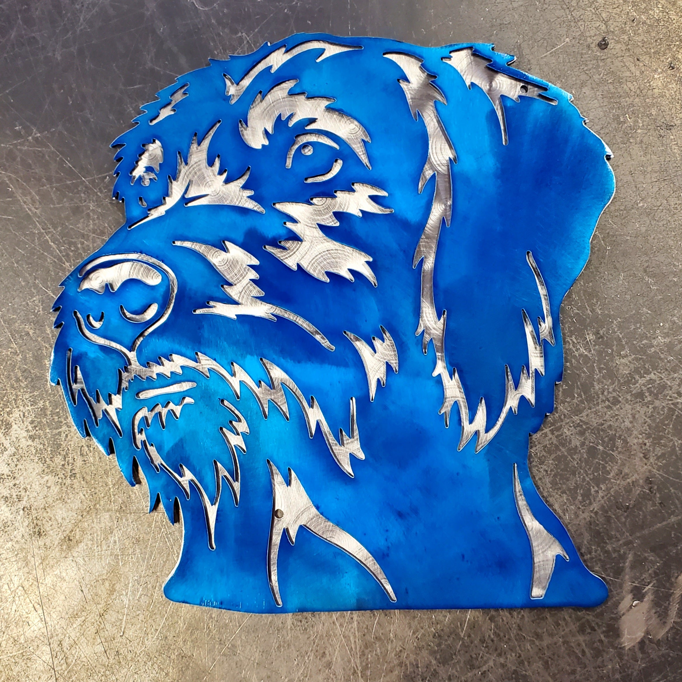 Wirehaired Vizsla Metal Art