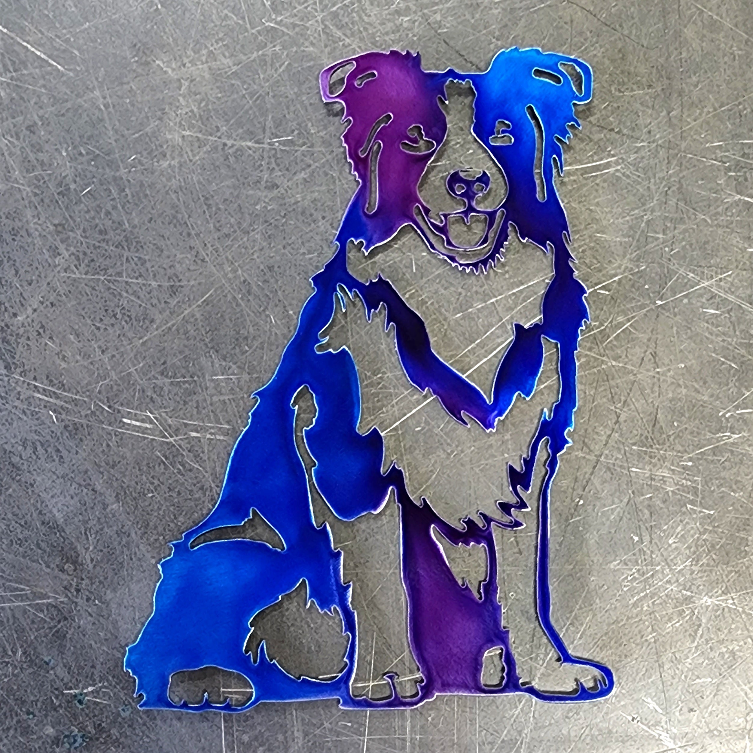 Border Collie #2 Metal Art