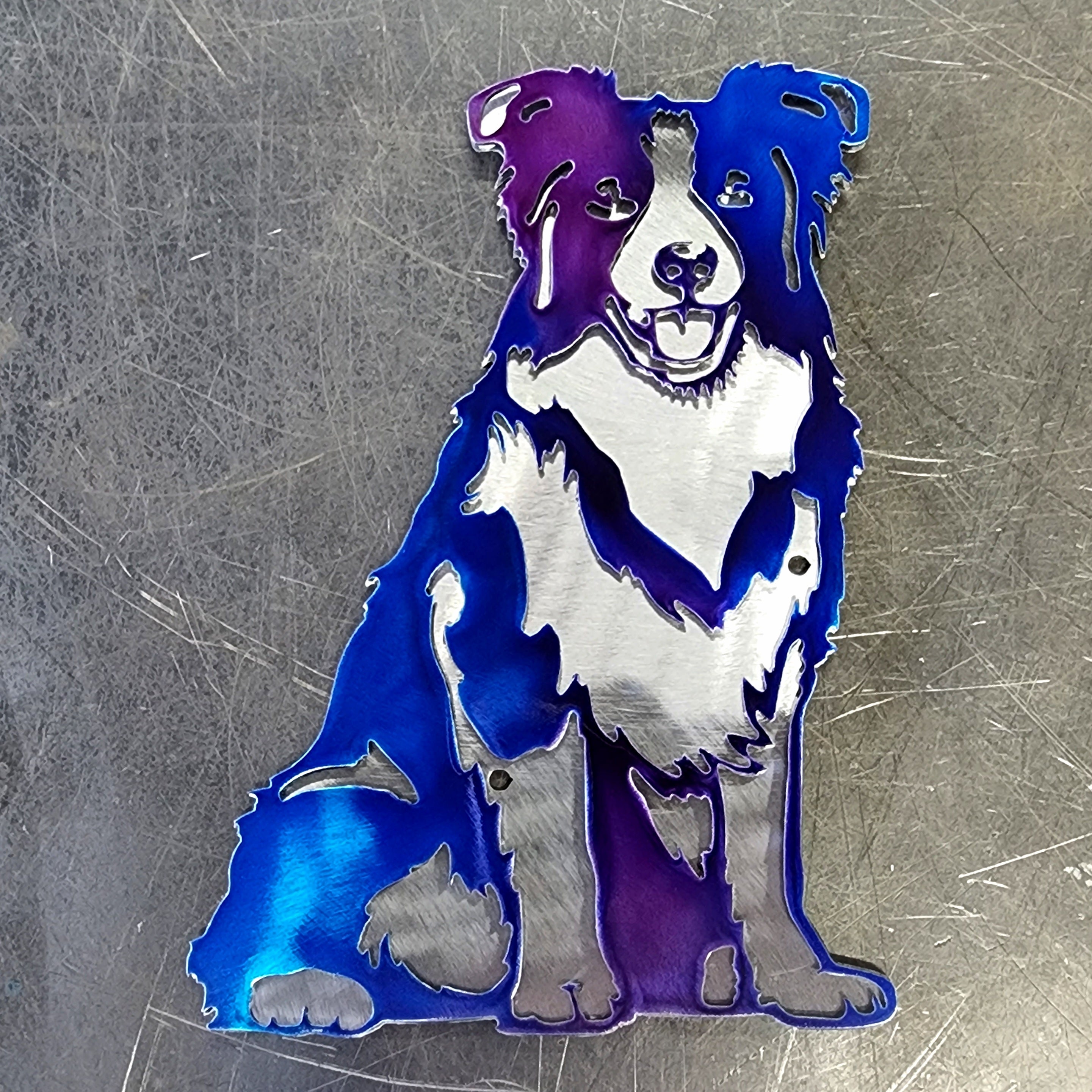 Border Collie #2 Metal Art
