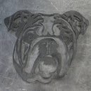 Bulldog