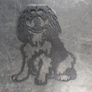 Cavalier King Charles