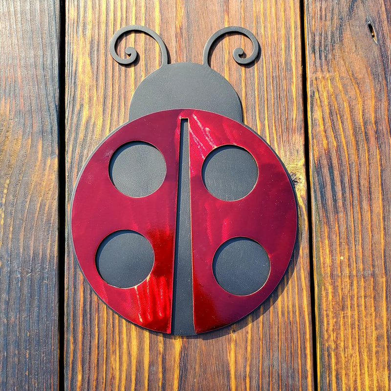 Ladybug Insect Garden Outdoors Nature Metal Art Home Decor Wall Decor Fabrication Welding Welder Annapolis Maryland Custom Personalized Gift