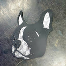 Boston Terrier